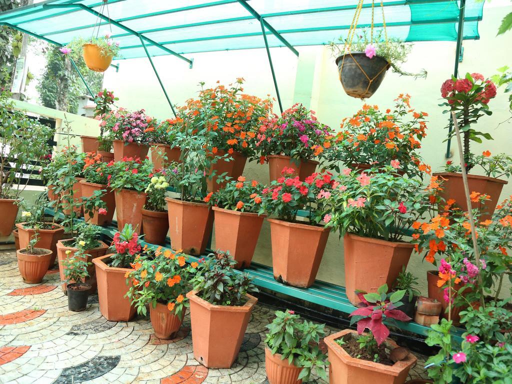 Mangalappillil Homestay Munnar Esterno foto